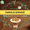 PANDOLCE GENOVESE: ricetta originale e con farina di canapa