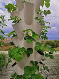 TORRE EOLIANA il tuo orto verticale idroponico indoor outdoor greenhouse