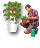 TORRE EOLIANA il tuo orto verticale idroponico indoor outdoor greenhouse