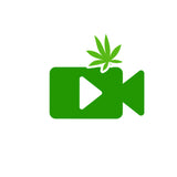 Dexo/Oil Black Leaf WAX COLLECTOR Blu