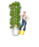 TORRE EOLIANA il tuo orto verticale idroponico indoor outdoor greenhouse