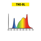 Secret Jardin TNOLED BLOOMING