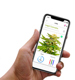 LINFA WEEZY - box automatizzato per la coltivazione di 4 piante