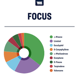 Terpeni linea Terpology by True Terpenes