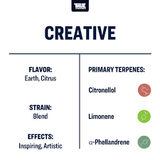 Terpeni linea Terpology by True Terpenes