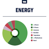 Terpeni linea Terpology by True Terpenes