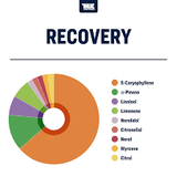Terpeni linea Terpology by True Terpenes