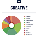 Terpeni linea Terpology by True Terpenes