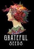 Indica femm - SAVAGE MINT limited edition - The Grateful Seeds