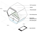 LINFA WEEZY - box automatizzato per la coltivazione di 4 piante