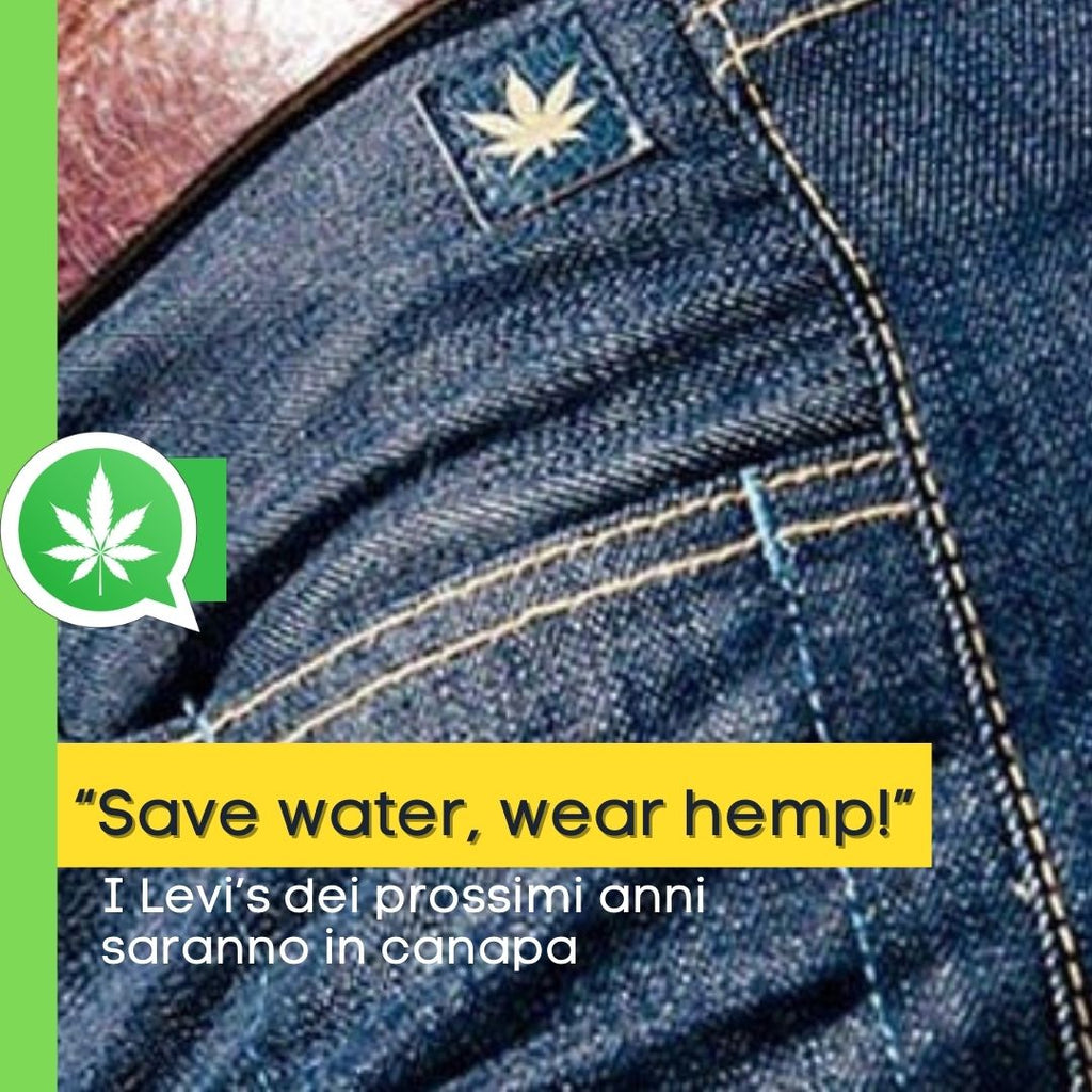 “Save water, wear hemp!”: anche i jeans Levi’s sono di canapa