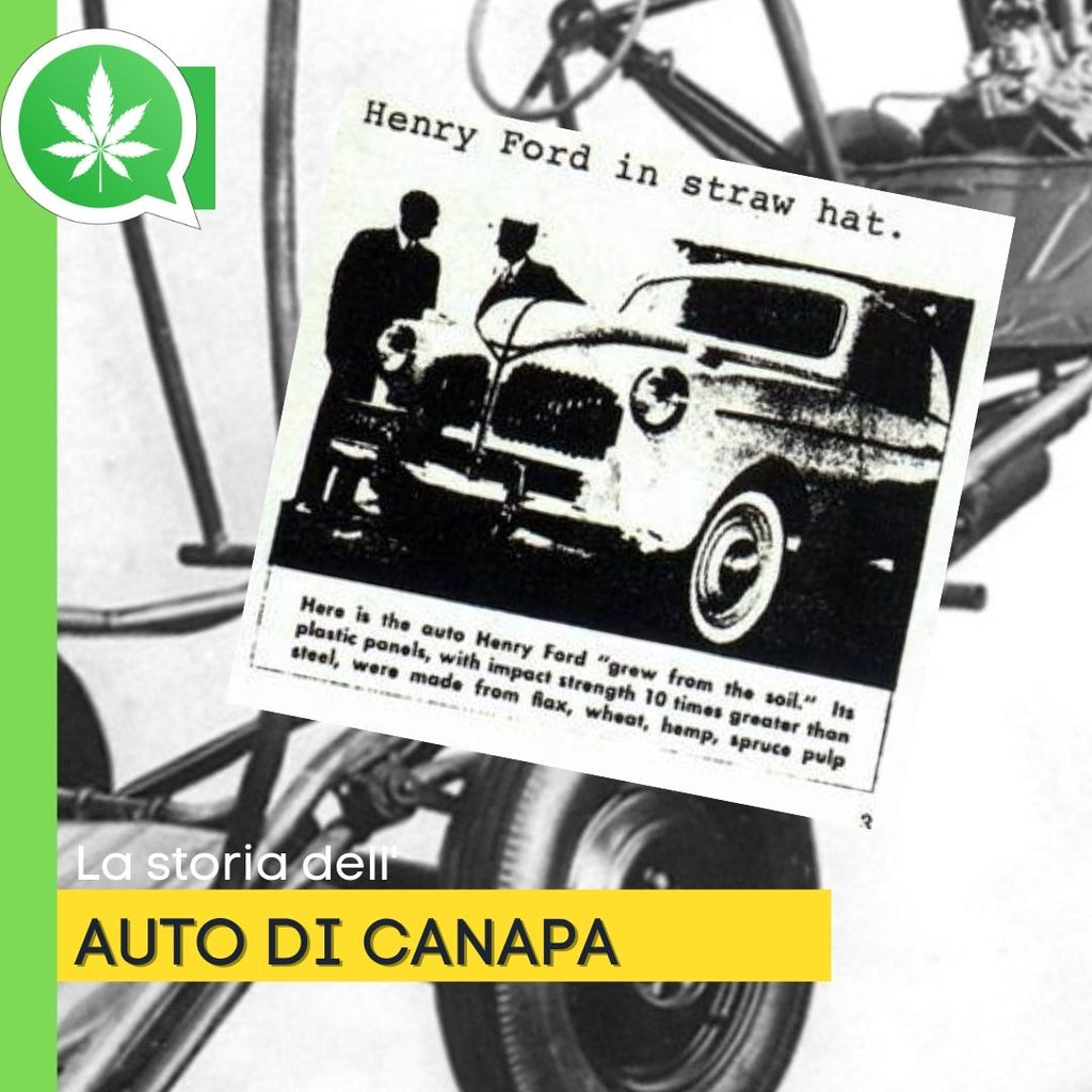 La vera storia dell'auto di canapa