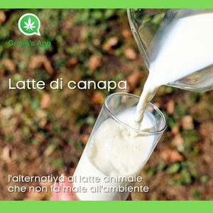 Latte di canapa: l’alternativa al latte animale che non fa male all’ambiente