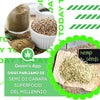 Semi di canapa, superfood del millennio