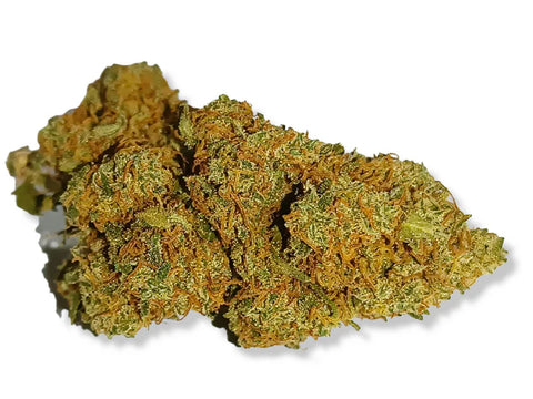 STRAWBERRY CBD Indoor