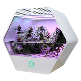 LINFA WEEZY - box automatizzato per la coltivazione di 4 piante